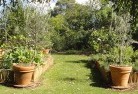 Mintabievegetable-gardens-3.jpg; ?>